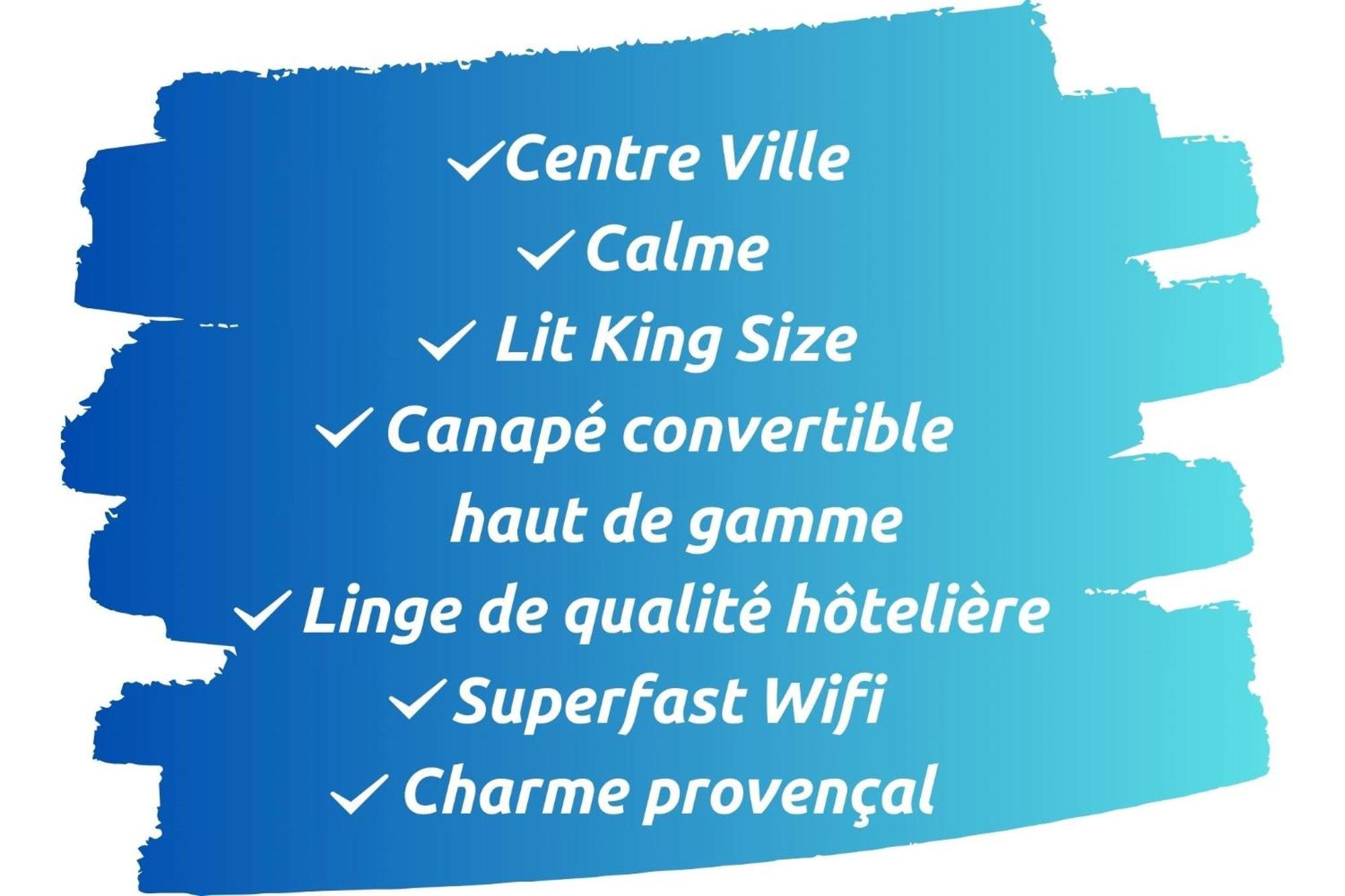 Le Petit Saint Esprit - Centre Ville - Calme - Lumineux - Fibre 普罗旺斯地区艾克斯 外观 照片